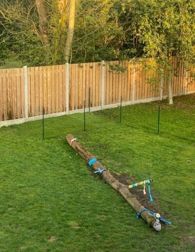 Dogi TUIN EN SNUFFELBOOM